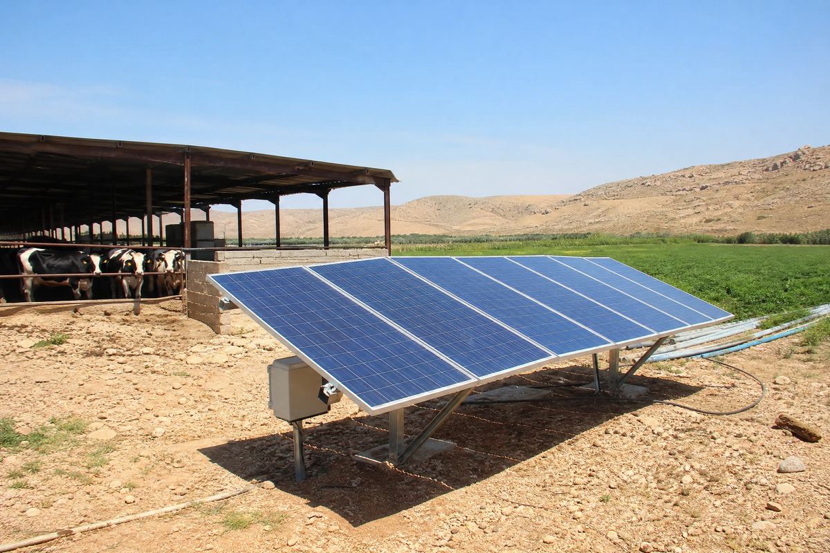 A 5kW solar array with battery cabinet powering a dairy cattle farm near Mafraq, Jordan