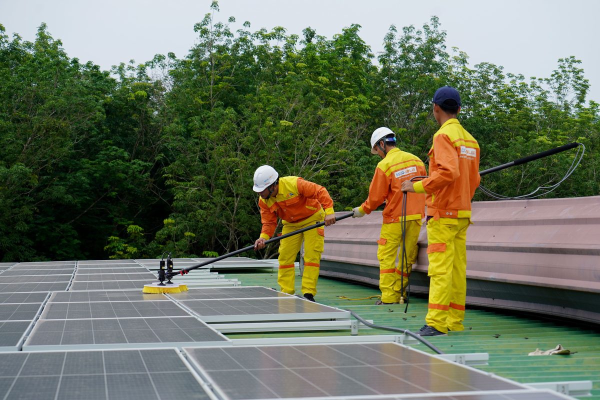 Technicians cleaning rooftop solar panels with a specialized soft brush on an extension pole